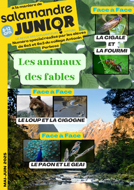 Cover (1).png